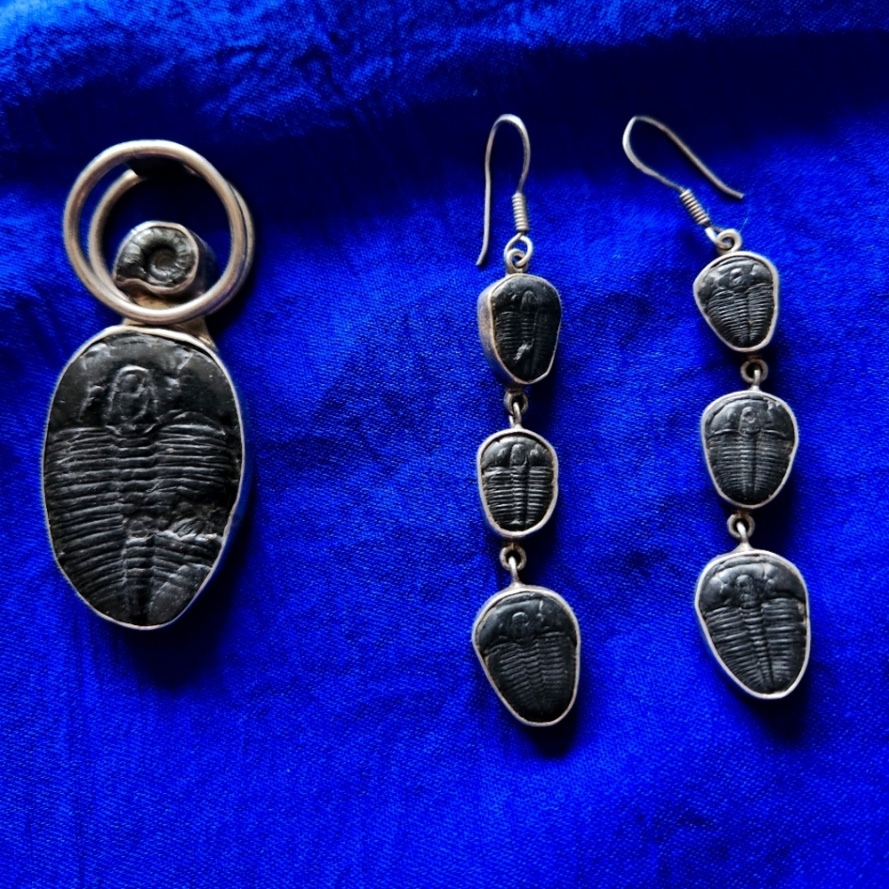 Charles Albert Fossil Pendant and Earring set